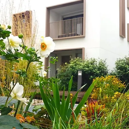 3 5 Lits Parking Terrasse No Bugs